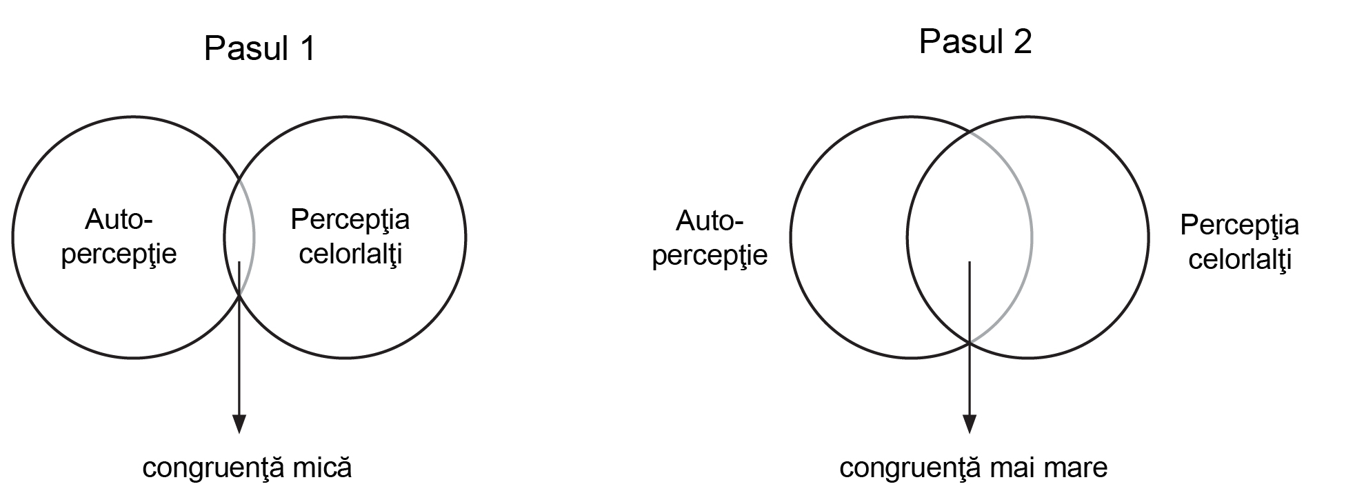 Educating_democracy_EN.pdf
