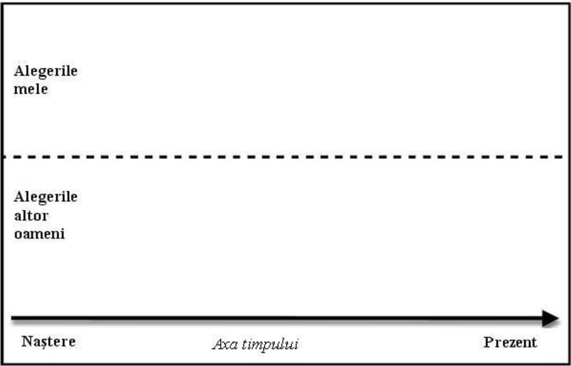 Participarea la democrație