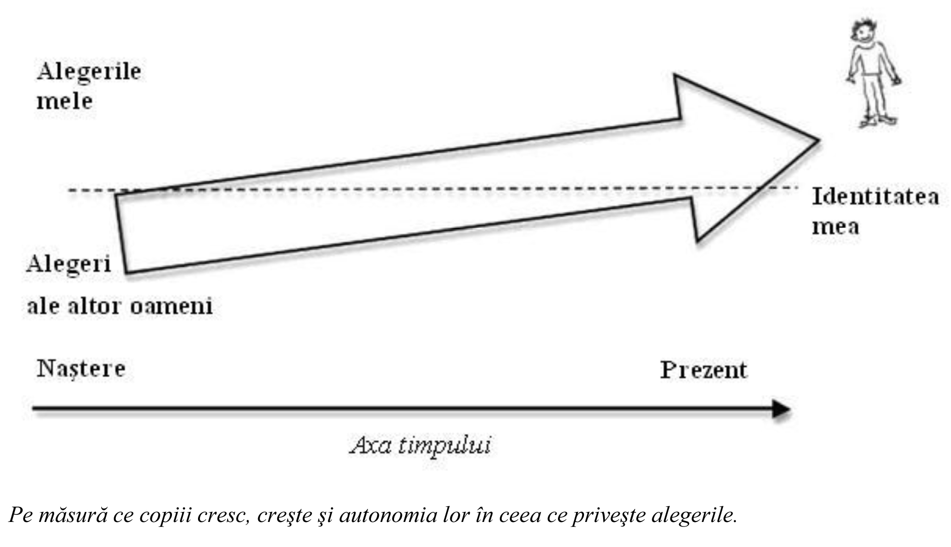 Participarea la democrație