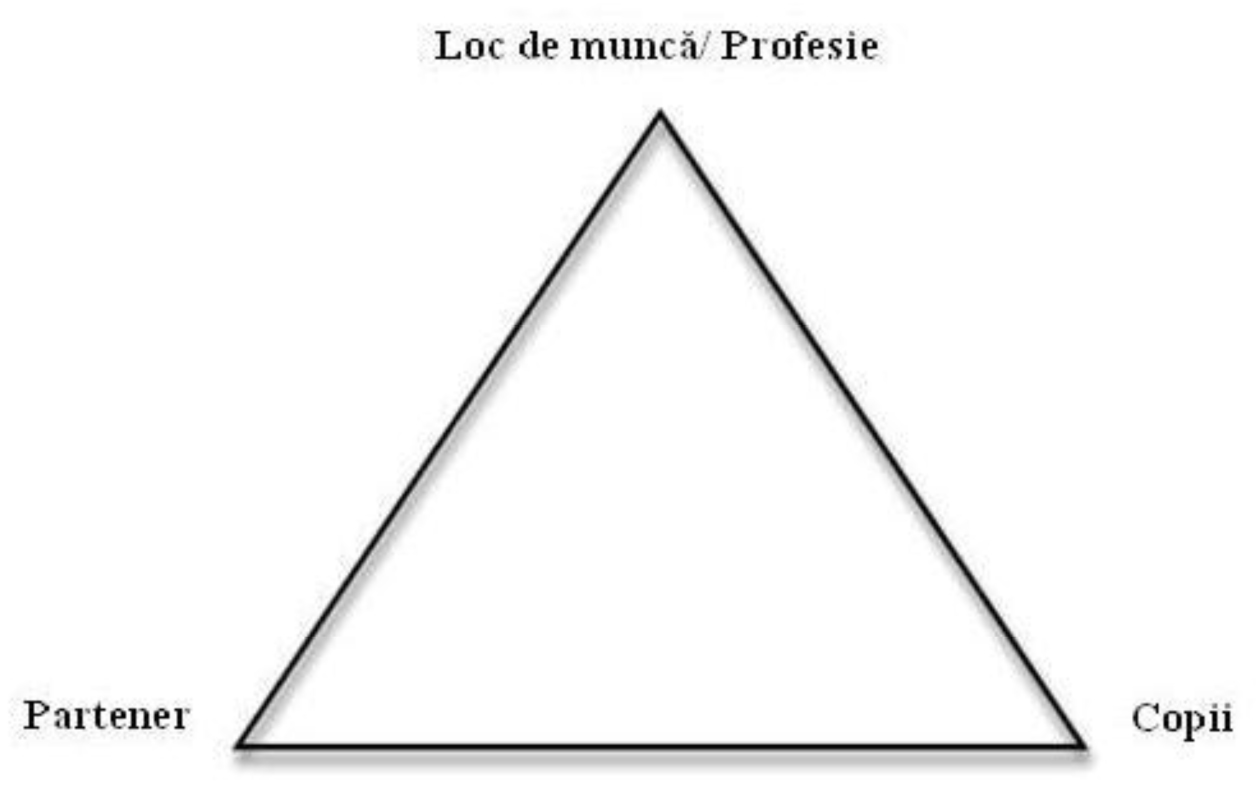 Participarea la democrație