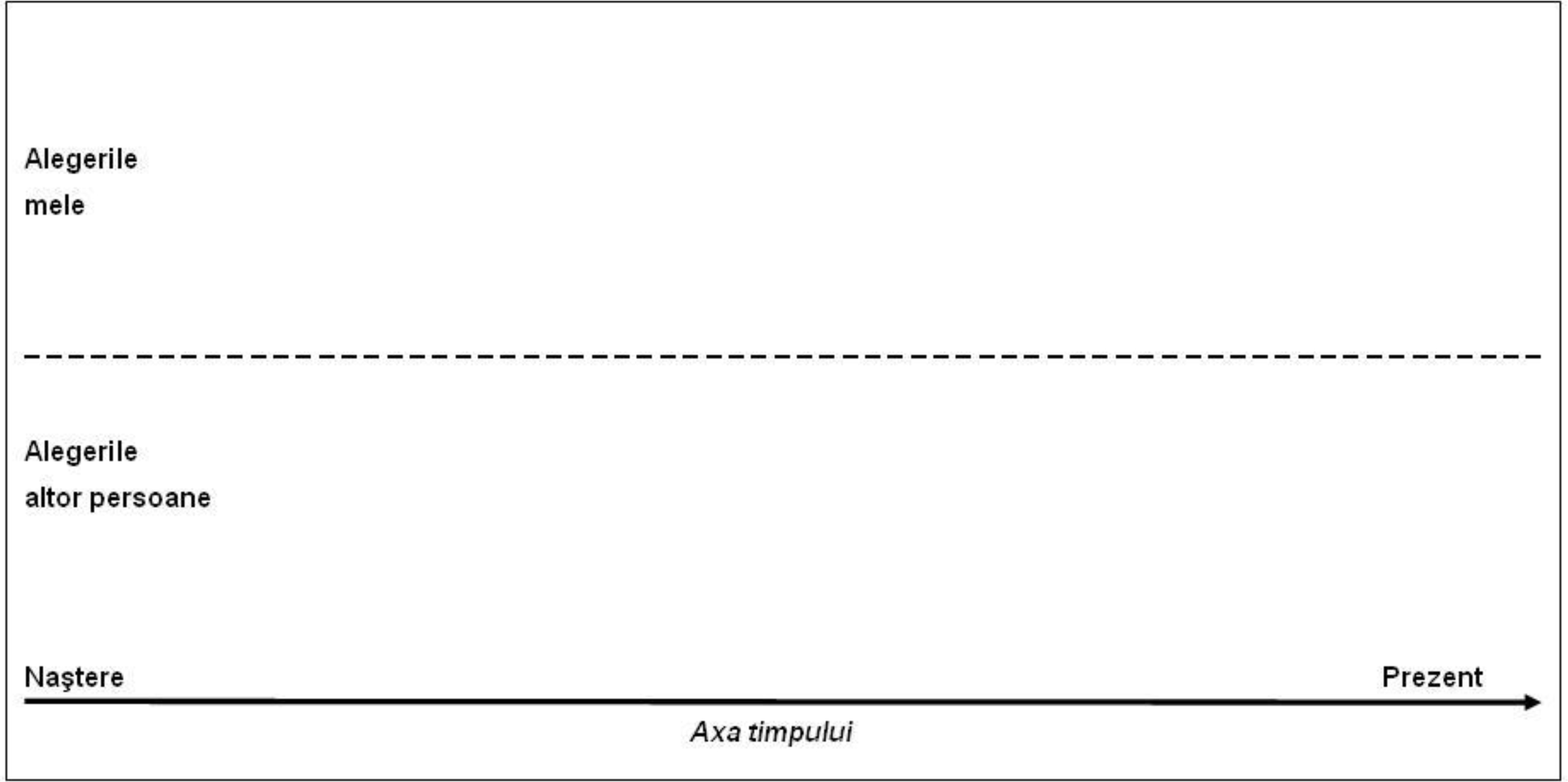 Participarea la democrație