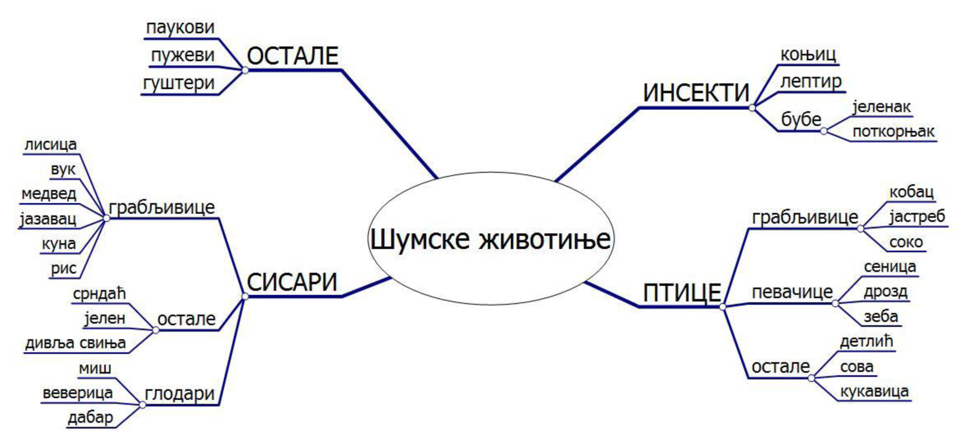 Осма наставна целина